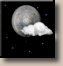 Tonight: Mostly Clear